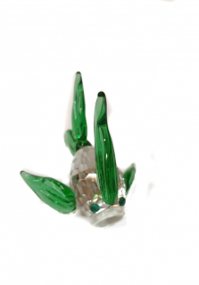 Ryba B1 lux